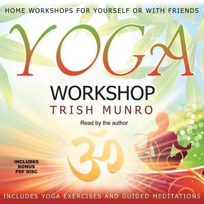 Cover for Llewellyn · Yoga Workshop (CD) (2013)