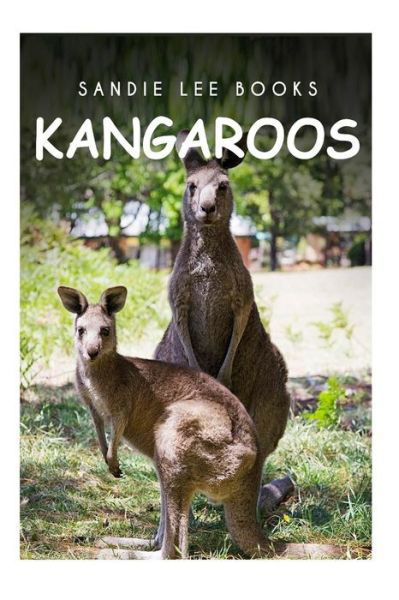 Cover for Sandie Lee Books · Kangaroos - Sandie Lee Books (Paperback Bog) (2014)