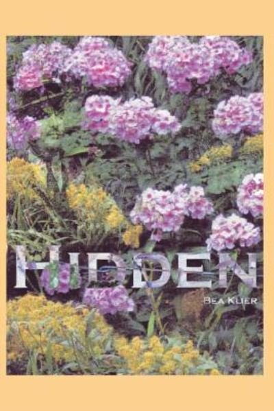 Cover for Bea Klier · Hidden (Paperback Book) (2017)