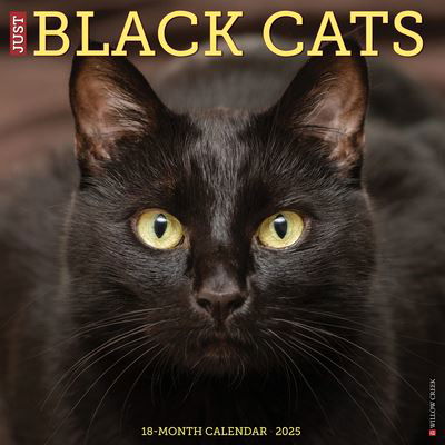 Willow Creek Press · Just Black Cats 2025 12 X 12 Wall Calendar (Calendar) (2024)