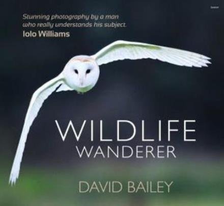 Cover for David Bailey · Wildlife Wanderer (Gebundenes Buch) (2017)
