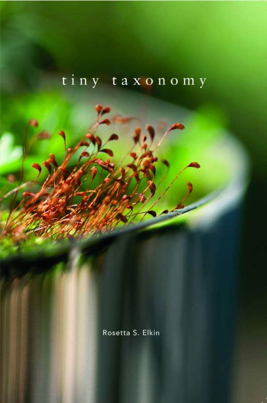 Cover for Elkin · Tiny Taxonomy: Individual Plants in Landscape Architecture (Hardcover Book) [English edition] (2017)