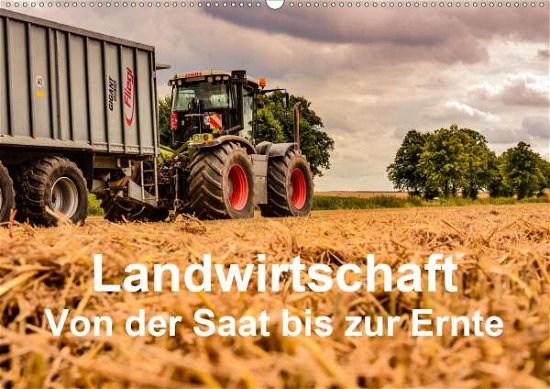 Cover for Witt · Landwirtschaft - Von der Saat bis (Book)