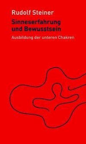 Cover for Steiner · Sinneserfahrung und Bewusstsein (Bog)