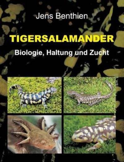Cover for Benthien · Tigersalamander (Book) (2016)