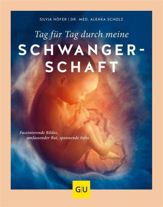 Cover for Höfer · Tag für Tag durch meine Schwanger (Book)
