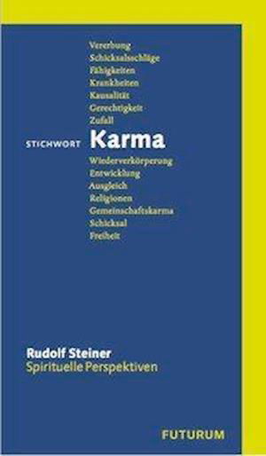 Cover for Steiner · Stichwort Karma (Bog)