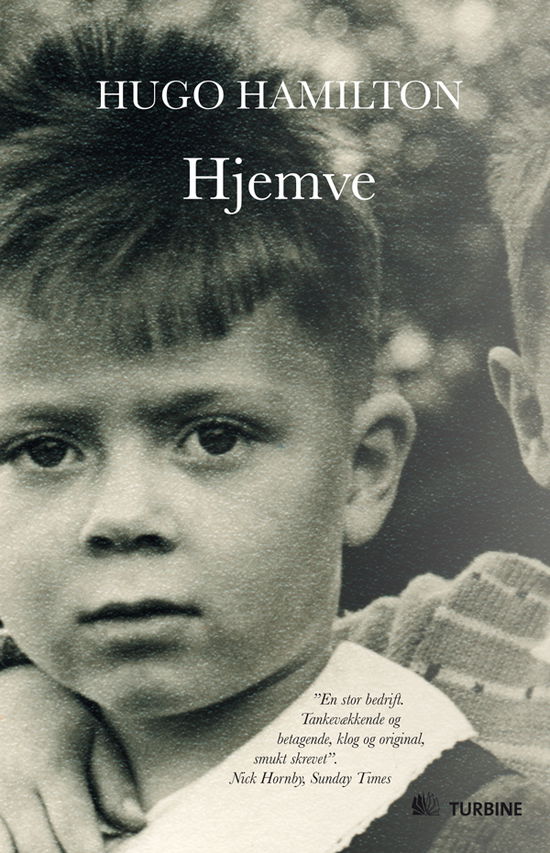 Cover for Hugo Hamilton · Hjemve (Paperback Book) [1st edition] [Indbundet] (2010)