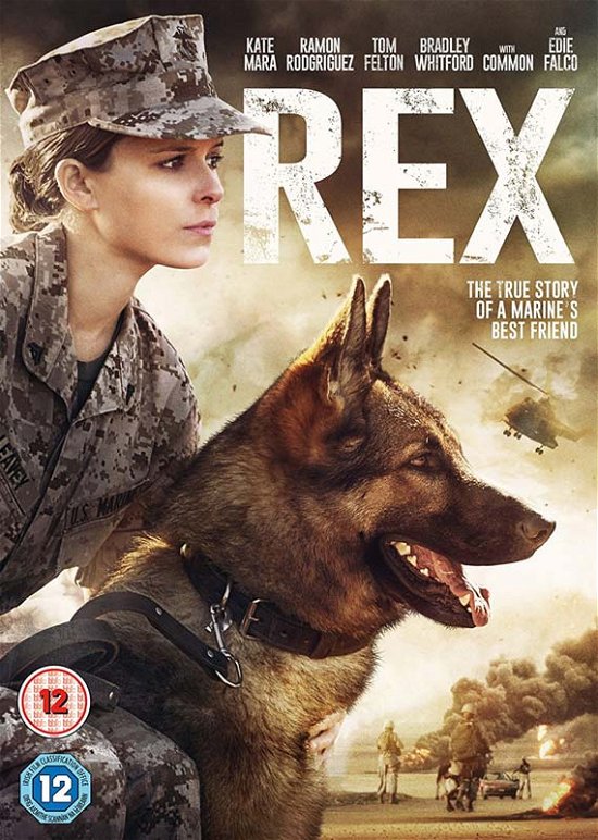 Cover for Rex (DVD) (2018)