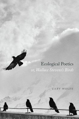 Cover for Cary Wolfe · Ecological Poetics; Or, Wallace Stevens's Birds (Hardcover Book) (2020)