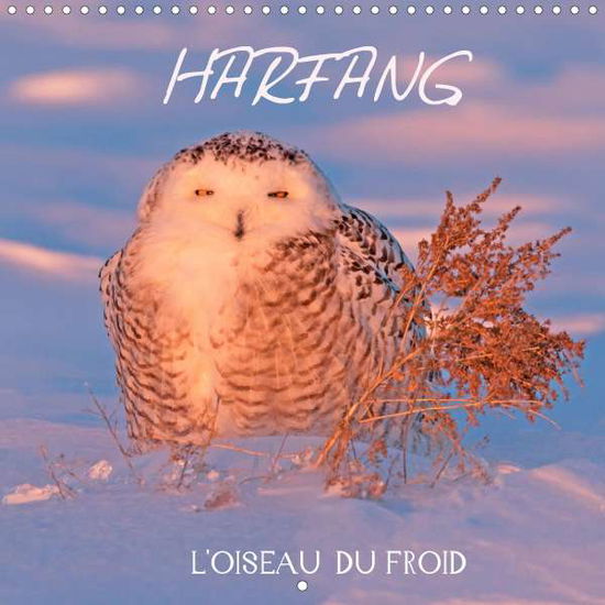 Cover for Henry · HARFANG, L'OISEAU DU FROID (Calen (Book)