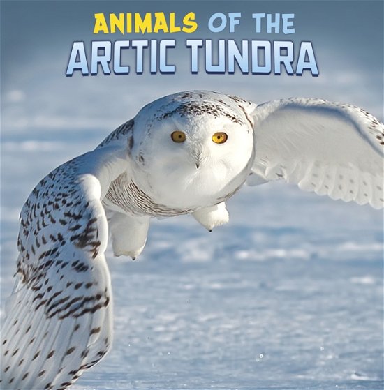 Cover for Martha E. H. Rustad · Animals of the Arctic Tundra - Wild Biomes (Pocketbok) (2023)