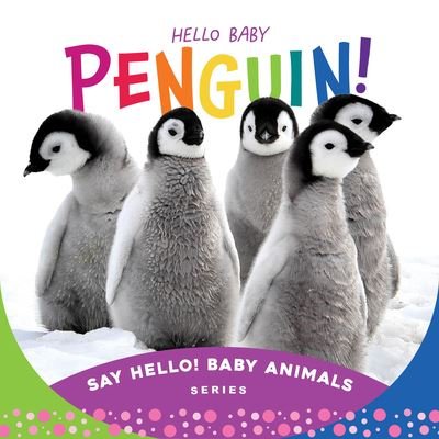 Cover for Sleeping Bear Press · Hello Baby Penguin! (Book) (2023)