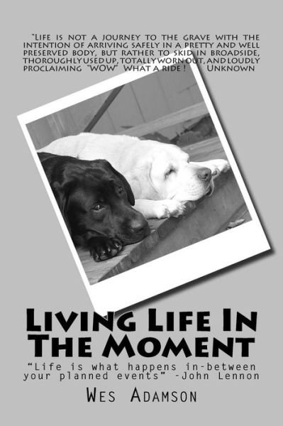Cover for Wes Adamson · Living Life In The Moment (Paperback Bog) (2017)