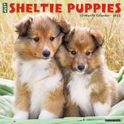 Willow Creek Press · Just Sheltie Puppies 2025 12 X 12 Wall Calendar (Calendar) (2024)