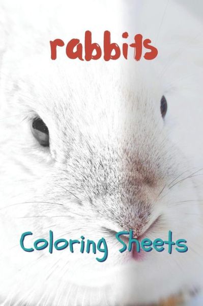 Rabbit Coloring Sheets - Julian Smith - Książki - Independently published - 9781797658834 - 20 lutego 2019