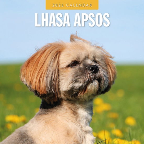 Lhasa Apsos 2025 Square Wall Calendar - Red Robin - Boeken - Red Robin Publishing Ltd. - 9781804424834 - 9 september 2024