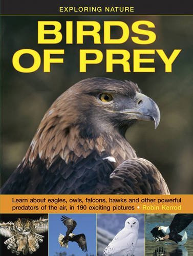 Exploring Nature: Birds of Prey - Kerrod Robin - Kirjat - Anness Publishing - 9781861474834 - keskiviikko 23. maaliskuuta 2016