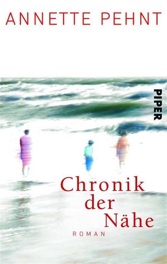 Cover for Annette Pehnt · Chronik der Nahe (Paperback Book) (2013)