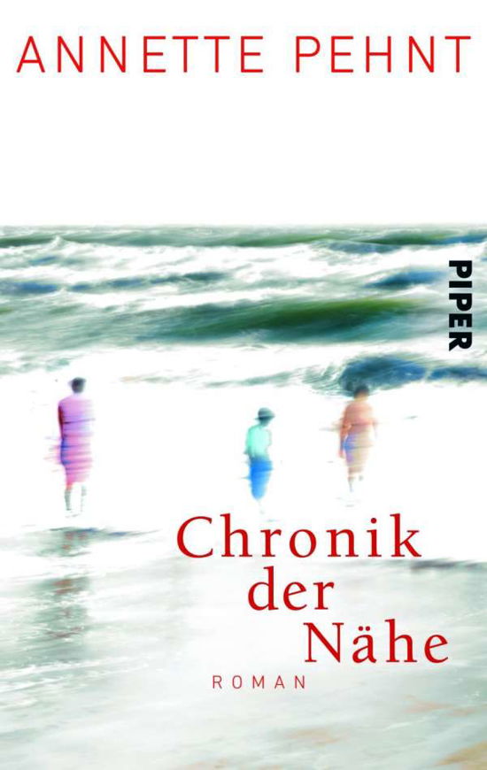Cover for Annette Pehnt · Chronik der Nahe (Taschenbuch) (2013)