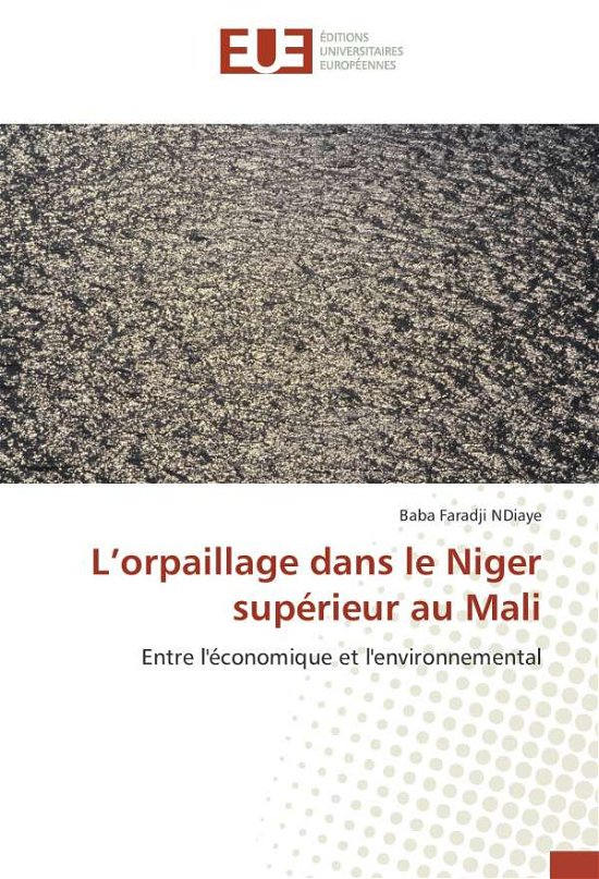 Cover for NDiaye · L'orpaillage dans le Niger supér (Bok)