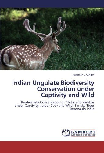 Cover for Subhash Chandra · Indian Ungulate Biodiversity Conservation Under Captivity and Wild: Biodiversity Conservation of Chital and Sambar Under Captivity ( Jaipur Zoo) and Wild (Sariska Tiger Reserve)in India (Paperback Book) (2013)