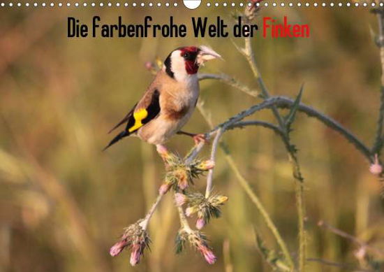 Cover for Erlwein · Die farbenfrohe Welt der Finken (Book)