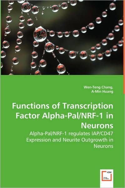 Cover for Wen-teng Chang A-min Huang · Functions of Transcription Factor Alpha-pal / Nrf-1 in Neurons: Alpha-pal / Nrf-1 Regulates Iap/cd47 Expression and Neurite Outgrowth in Neurons (Paperback Bog) (2008)