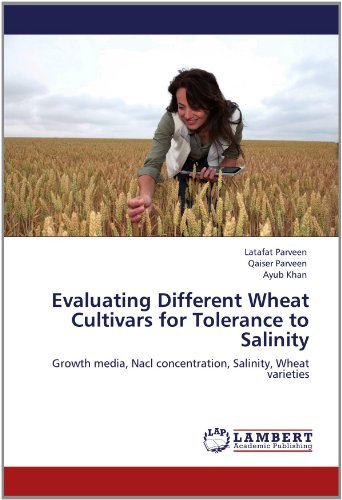 Cover for Ayub Khan · Evaluating Different Wheat Cultivars for Tolerance to Salinity: Growth Media, Nacl Concentration, Salinity, Wheat Varieties (Pocketbok) (2012)