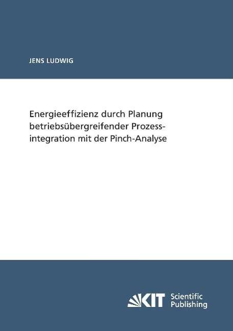 Cover for Ludwig · Energieeffizienz durch Planung b (Bog) (2014)