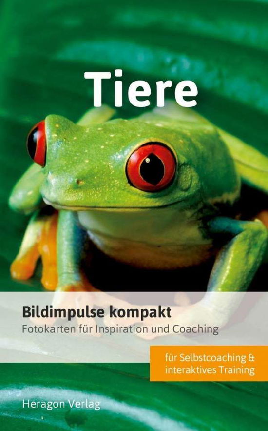 Bildimpulse kompakt: Tiere - Pack - Books -  - 9783942805834 - 