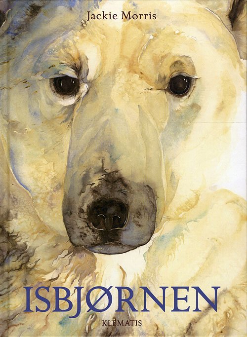 Cover for Jackie Morris · Isbjørnen (Bound Book) [1er édition] (2010)