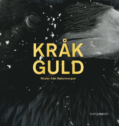 Cover for Tomas Lindberg · Kråkguld : röster från Naturmorgon (Bound Book) (2015)