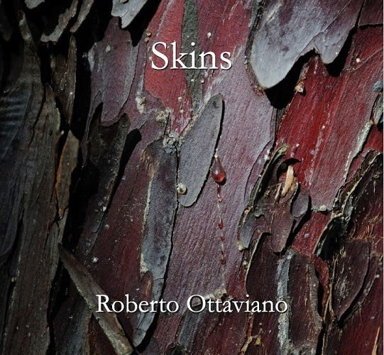 Skins - Roberto Ottaviano - Musiikki - NEL GIOCO - 0806891761835 - perjantai 17. joulukuuta 2021