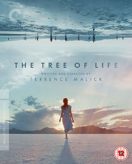 The Tree Of Life - Criterion Collection - My Brilliant Career 1979 Criterio - Films - Criterion Collection - 5050629364835 - 19 novembre 2018