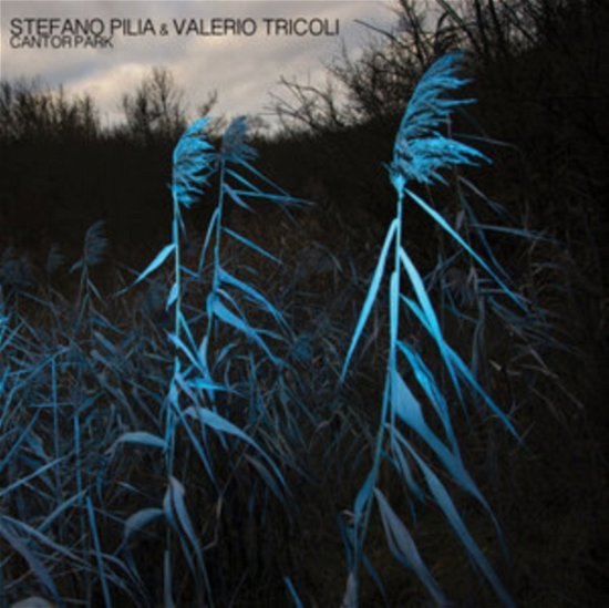 Cover for Stefano Pilia &amp; Valerio Tricoli · Cantor Park (Coloured Vinyl) (LP) (2023)