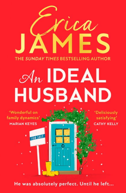 Cover for Erica James · An Ideal Husband (Pocketbok) (2024)