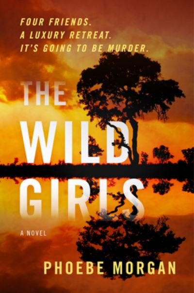 Cover for Phoebe Morgan · The Wild Girls: A Novel (Paperback Book) (2022)