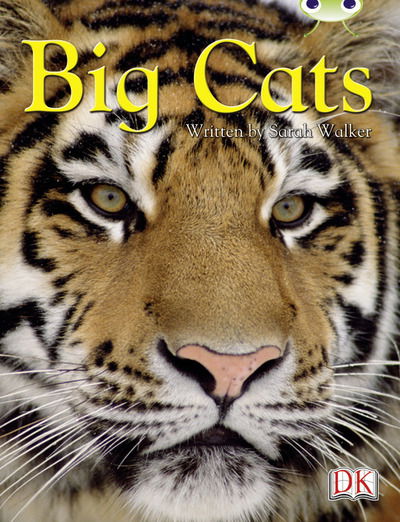 Cover for Sarah Walker · BC NF Brown B/3B Big Cats - BUG CLUB (Paperback Book) (2012)