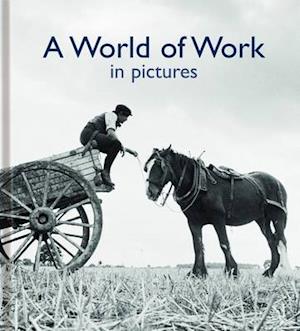 Cover for Helen Bate · A World of Work in Pictures (Inbunden Bok) (2012)