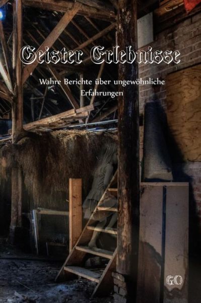 Cover for Geister Omis · Geister Erlebnisse (Paperback Book) (2016)