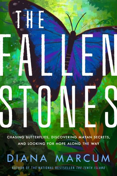 Cover for Diana Marcum · The Fallen Stones: Chasing Butterflies, Discovering Mayan Secrets, and Looking for Hope Along the Way (Taschenbuch) (2022)