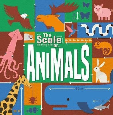 Cover for Joanna Brundle · Animals - The Scale Of... (Gebundenes Buch) (2019)