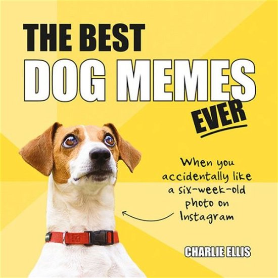Cover for Charlie Ellis · The Best Dog Memes Ever: The Funniest Relatable Memes as Told by Dogs (Hardcover Book) (2019)