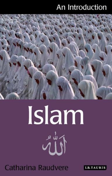 Islam: An Introduction - I.B.Tauris Introductions to Religion - Catharina Raudvere - Książki - Bloomsbury Publishing PLC - 9781848850835 - 19 listopada 2014