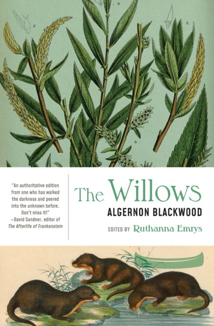 The Willows - Algernon Blackwood - Książki - Lanternfish Press - 9781941360835 - 12 grudnia 2024