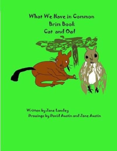 Cover for Jane Landey · Cat and Owl (Paperback Bog) (2017)