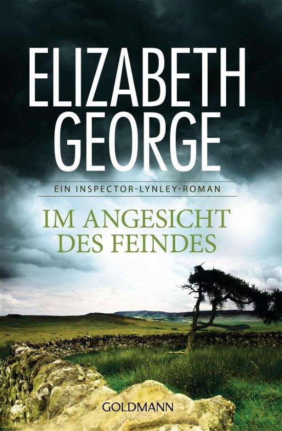 Cover for Elizabeth George · Im Angesicht des Feindes (Taschenbuch) (2014)