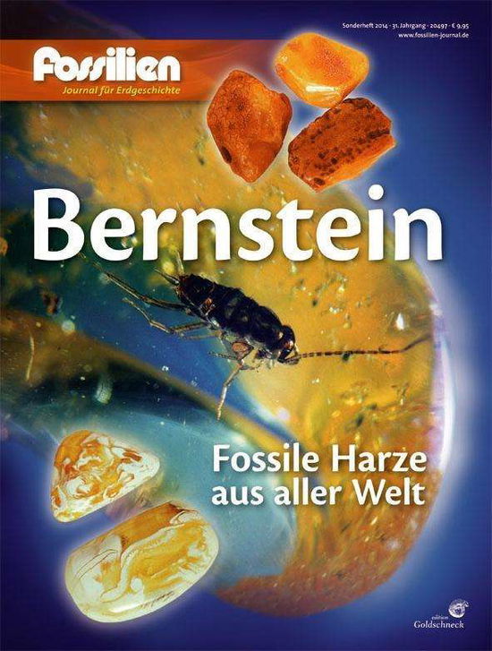 Bernstein - Quelle + Meyer - Książki - Quelle + Meyer - 9783494015835 - 29 października 2014