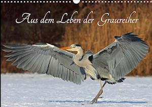 Cover for Konieczka · Aus dem Leben der Graureiher (Book)